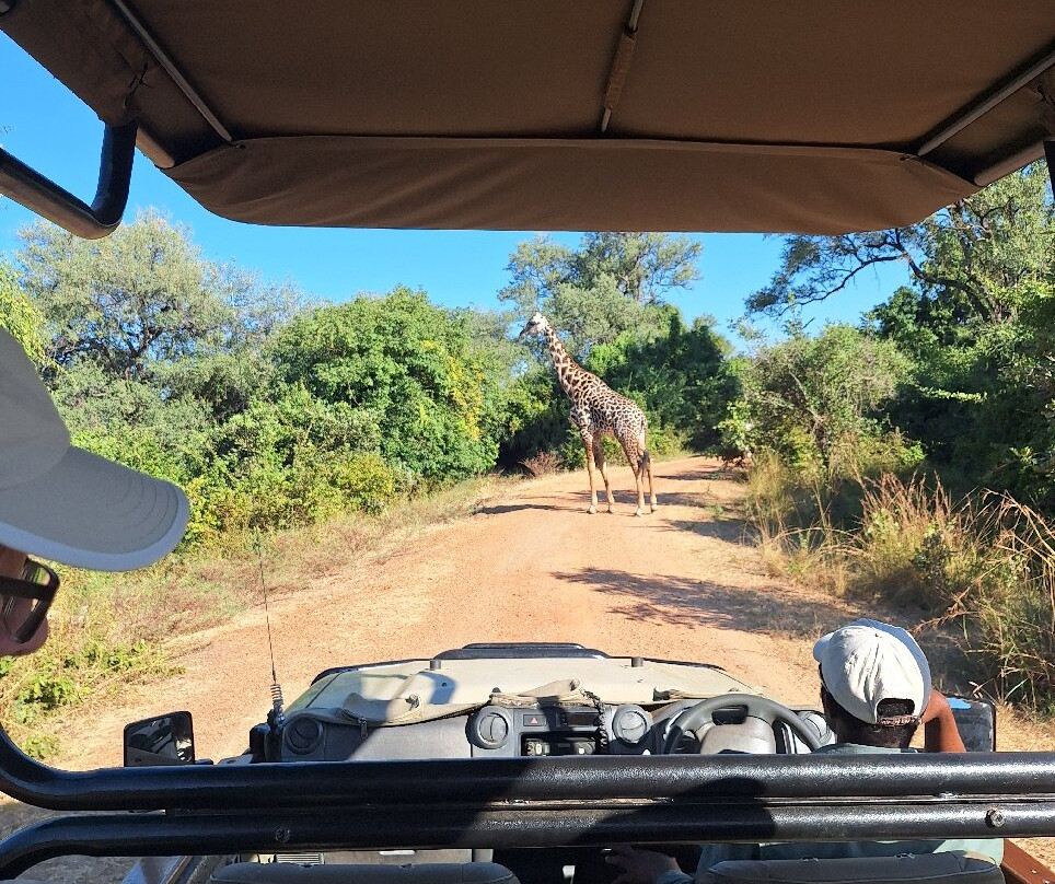 Zamsato - Zambia Safaris & Adventours-李文斯顿必去景点