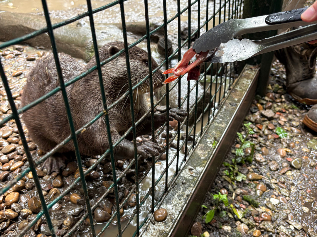 Ponderosa Zoo-Heckmondwike必去景点