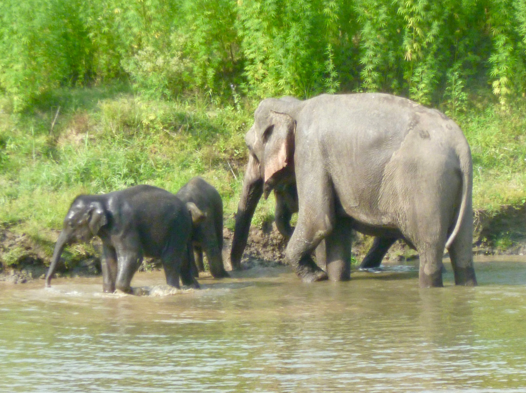 Corbett Safari-Jim Corbett National Park必去景点