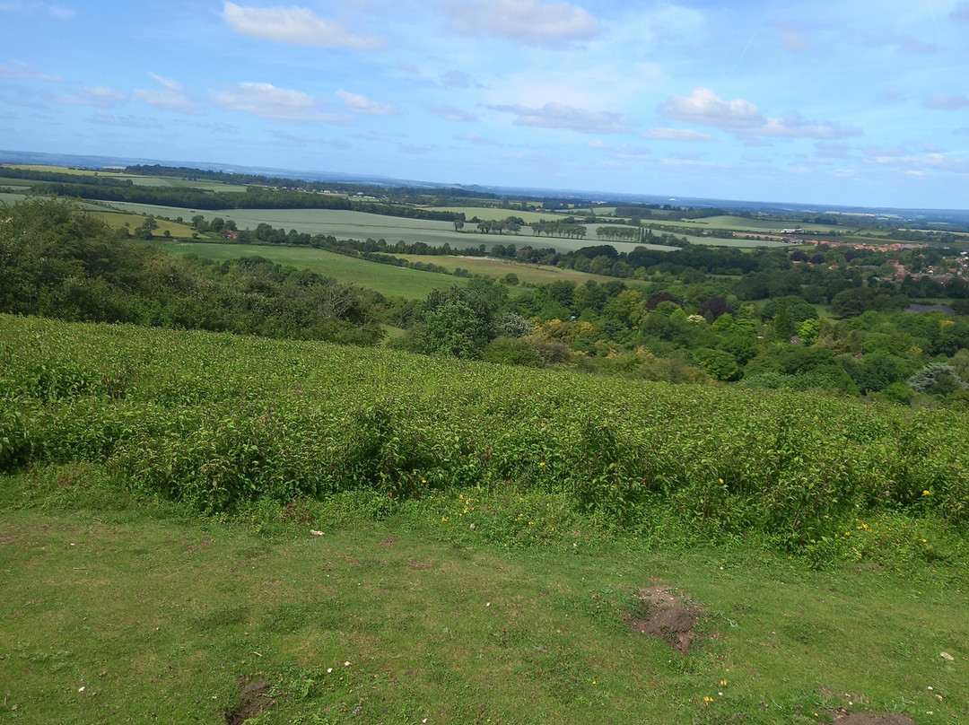 Watlington Hill-Watlington必去景点