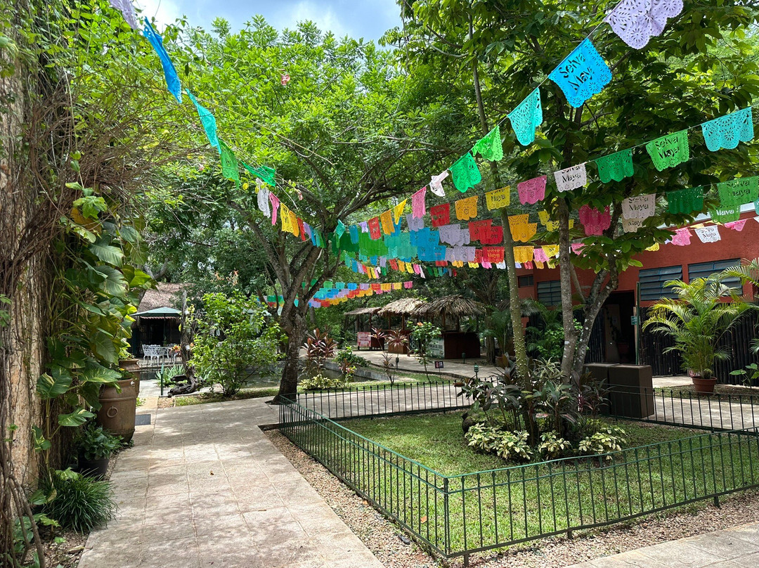 Santi Tour-普拉亚德尔卡曼必去景点