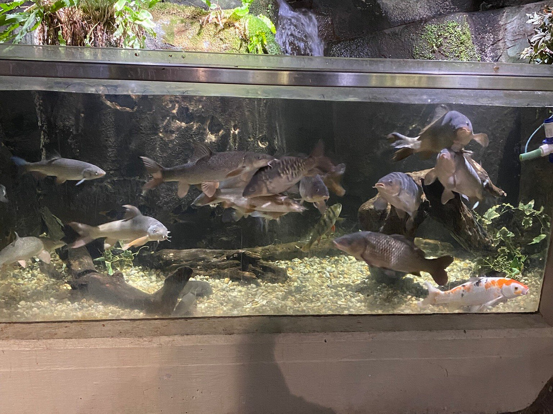 Lake District Coast Aquarium-Maryport必去景点