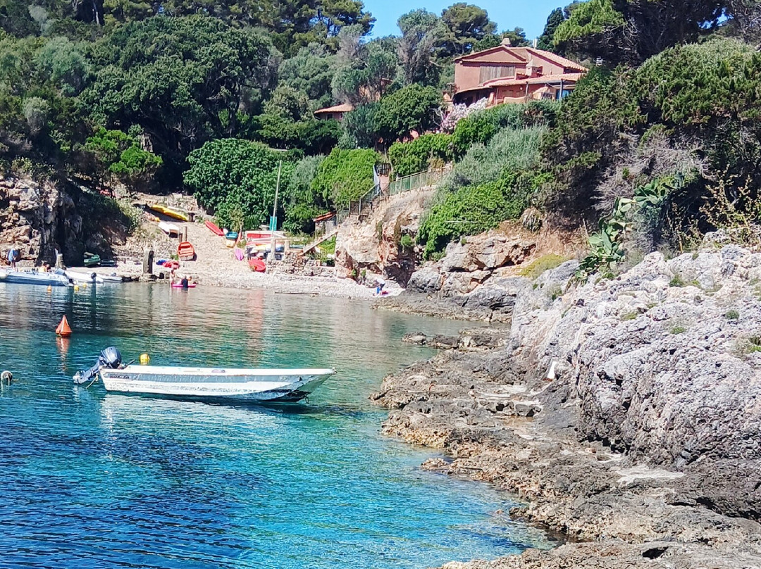 Cala Spalmatoio-Giannutri Island必去景点