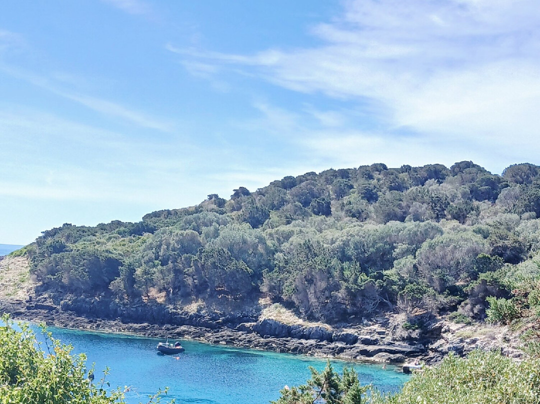 Cala Spalmatoio-Giannutri Island必去景点