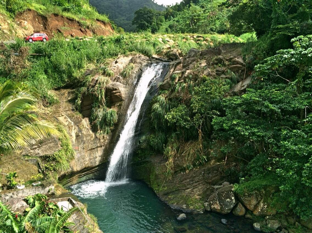 Vision Tours Grenada-St. George's必去景点