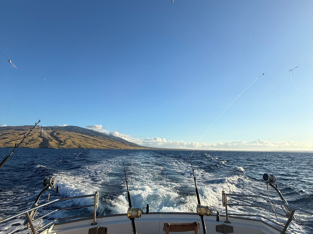 Strike Zone Sportfishing & Bottom Fishing-海库必去景点