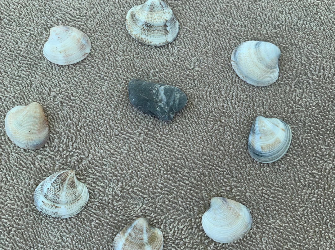 海洋公园SPA度假酒店主图