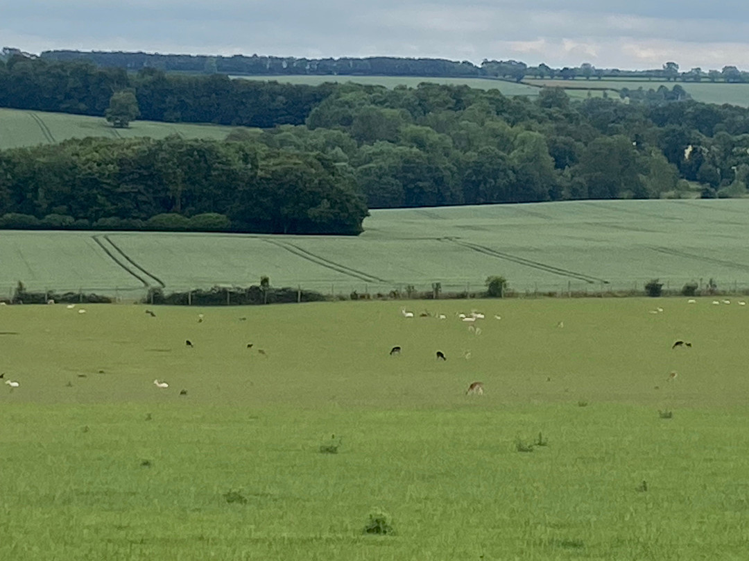 RH England Aynho Park-班伯里必去景点