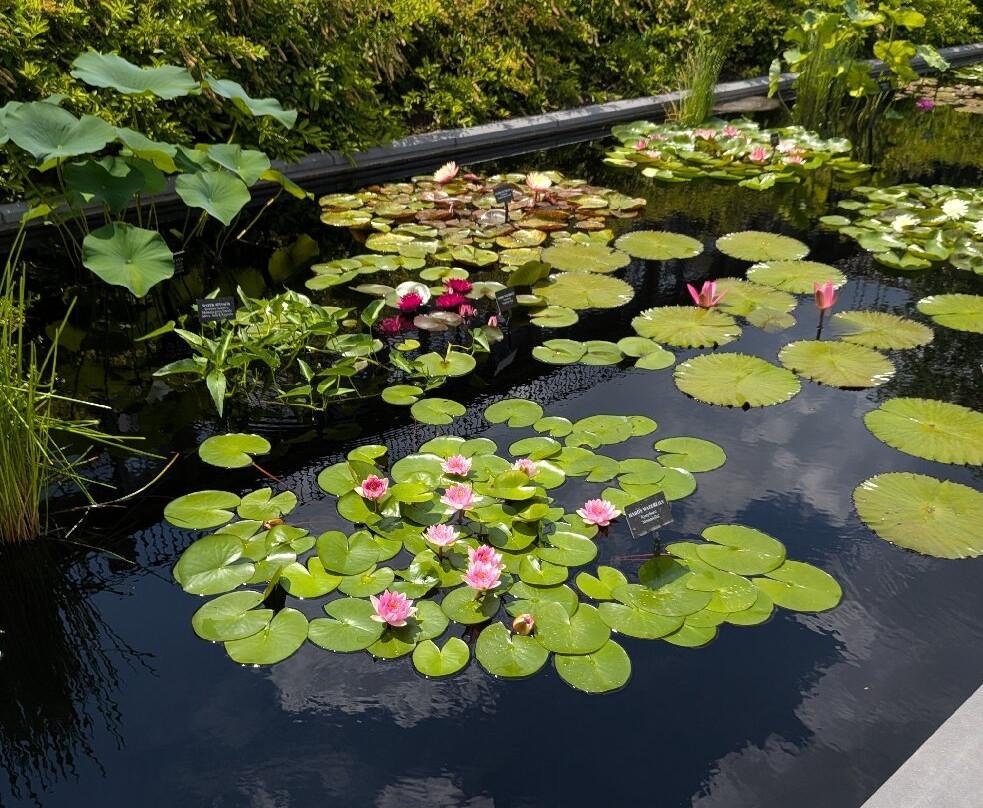 Longwood Gardens-肯尼特斯奎尔必去景点