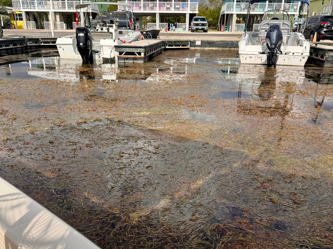 老木桥码头旅馆主图