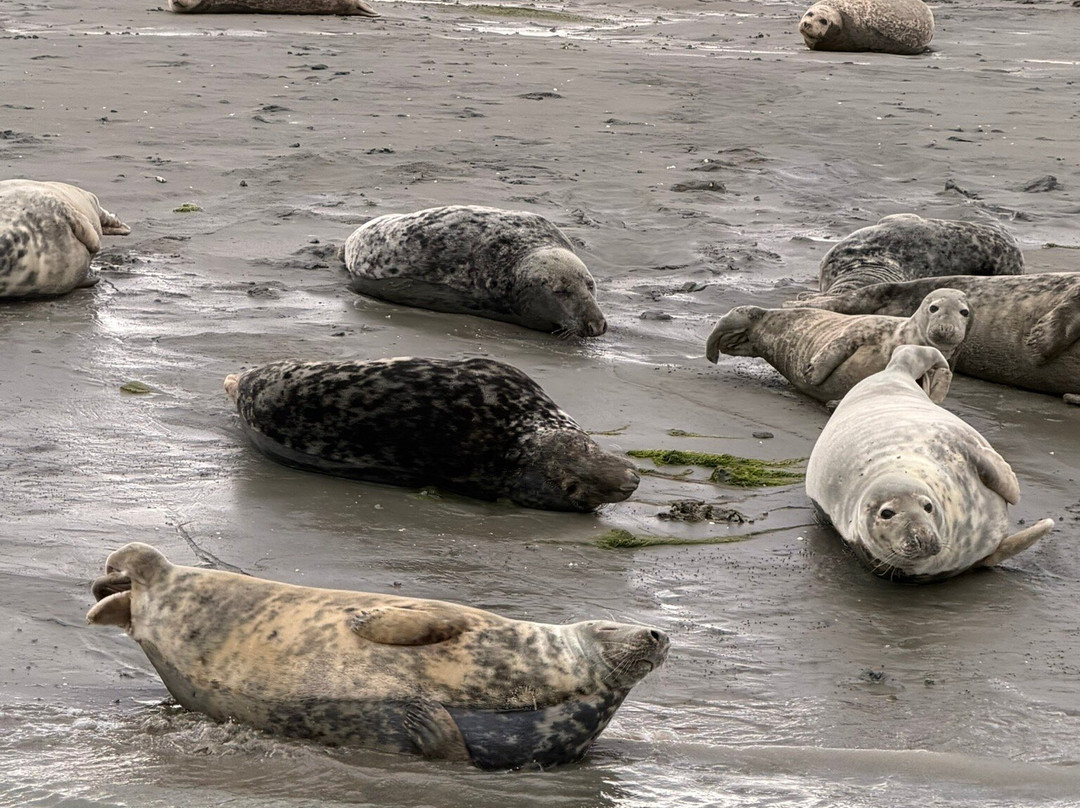 Chichester Harbour Water Tours-West Itchenor必去景点