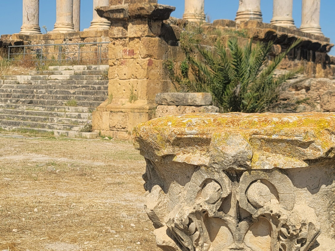 Thuburbo Majus-Zaghouan Governorate必去景点