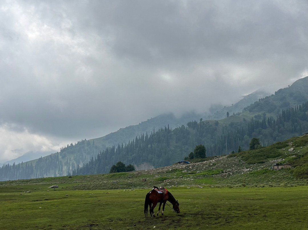 Discover Gulmarg Adventures-贡马必去景点