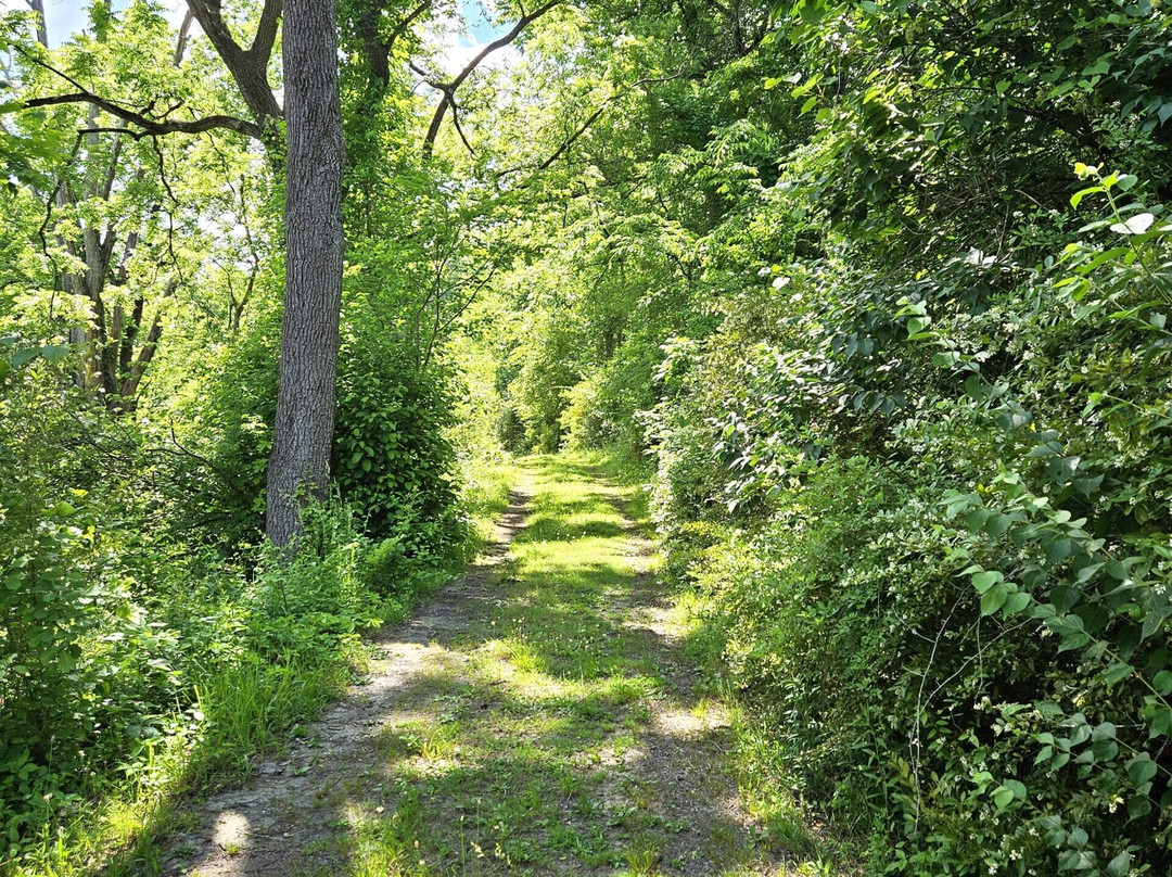 Honey Hollow Nature Center-纽霍普必去景点
