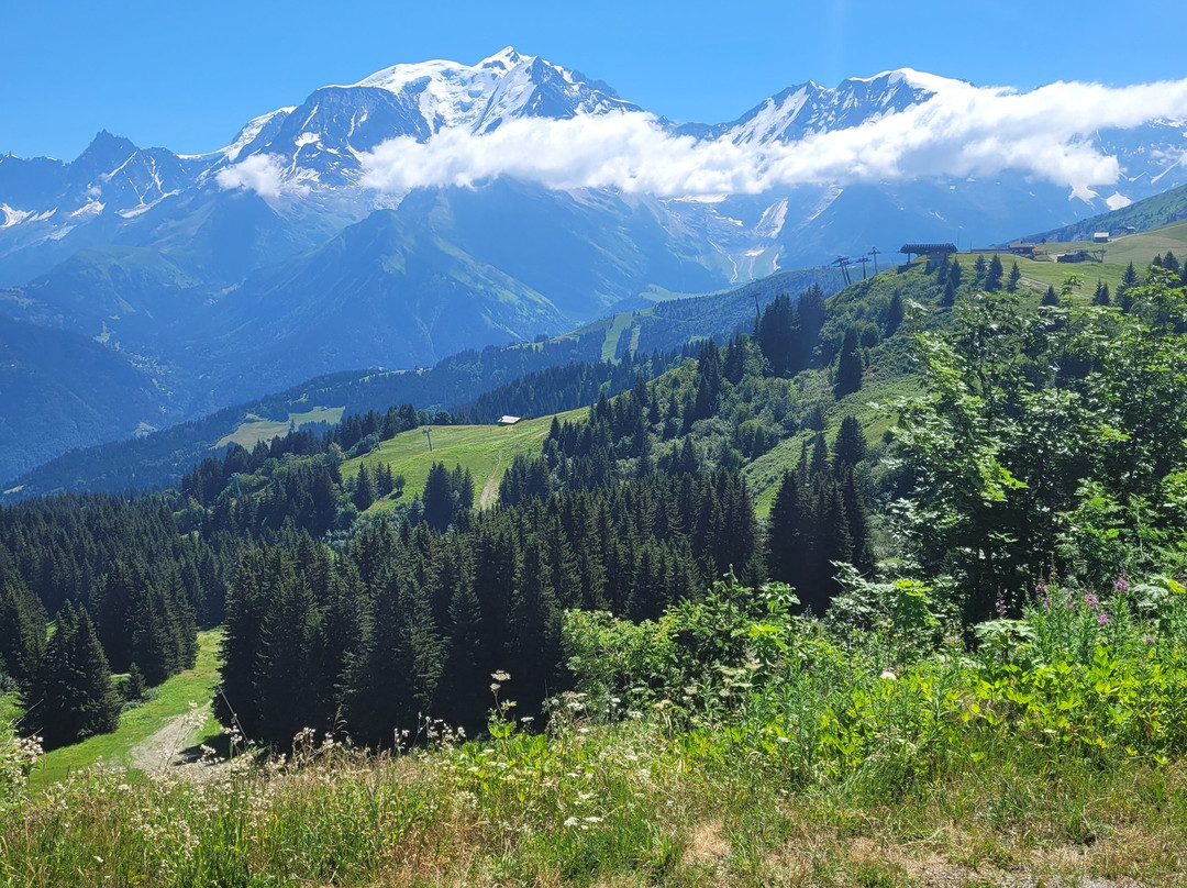 Refuge Chez La Tante - Mont d'Arbois