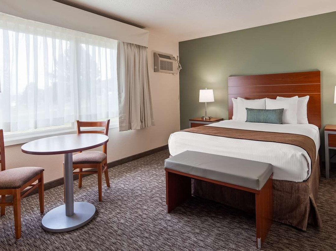 卡斯特酒店住宿-Best Western Buffalo Ridge Inn