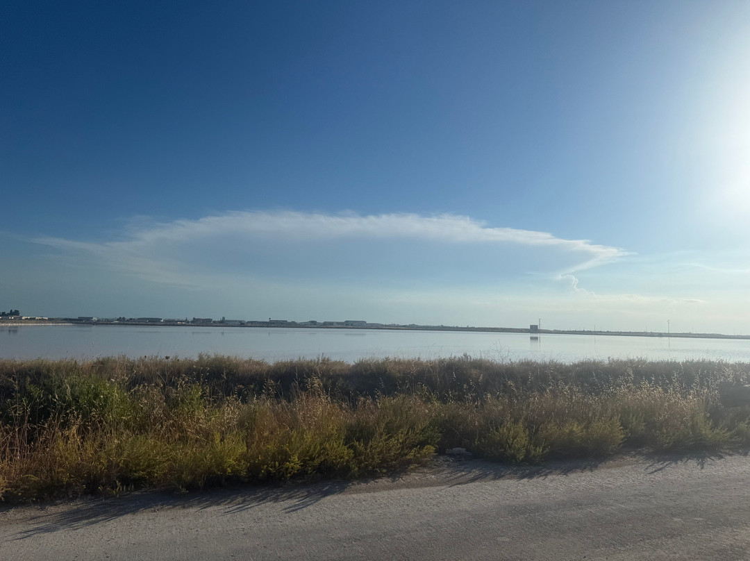 Riserva Naturale di Stato Saline di Margherita di Savoia-Margherita di Savoia必去景点
