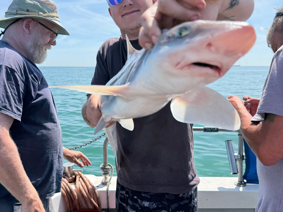 Sussex Sea Charters-West Itchenor必去景点