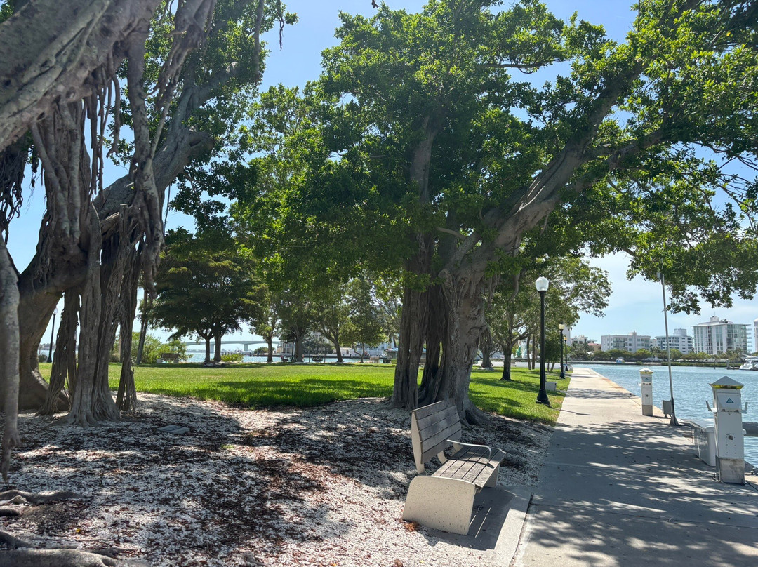 Bayfront Park-萨拉索塔必去景点