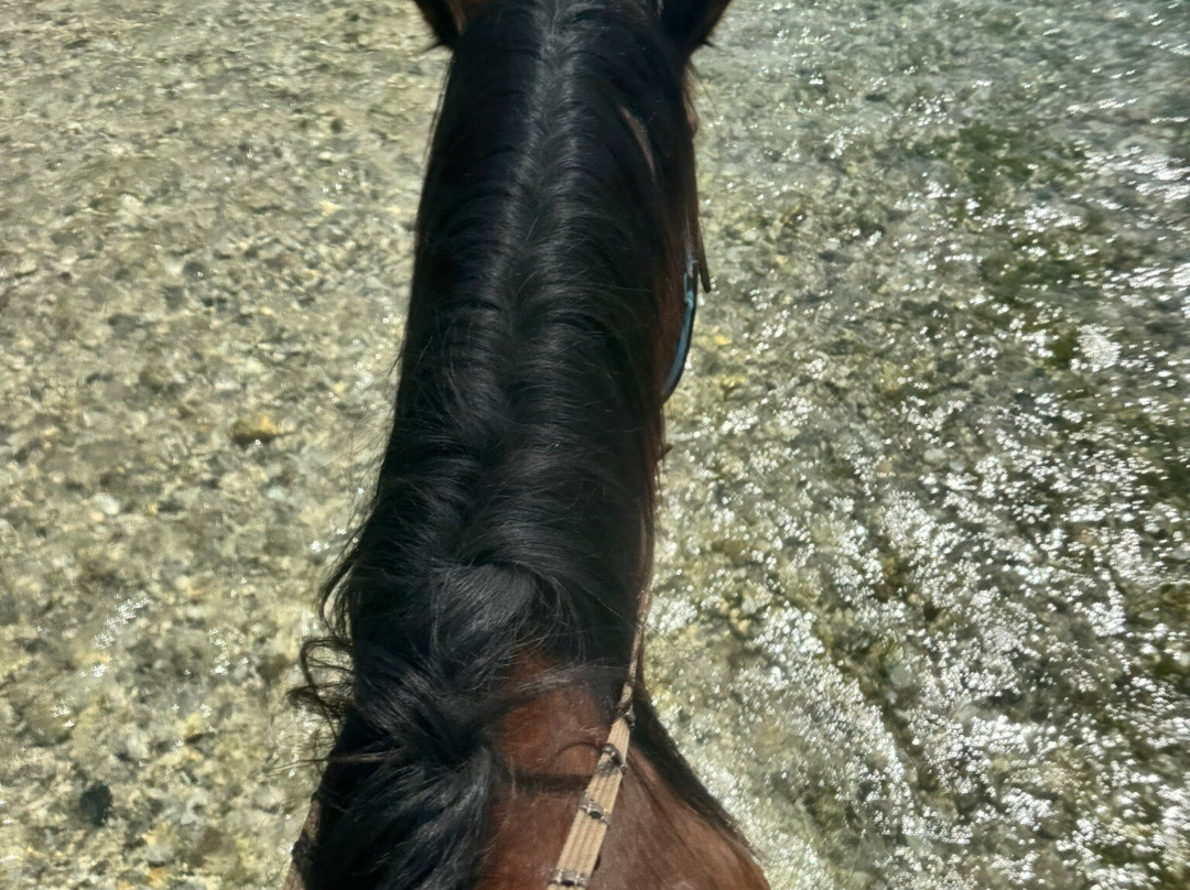 Pony Club Acheron-Glyki必去景点