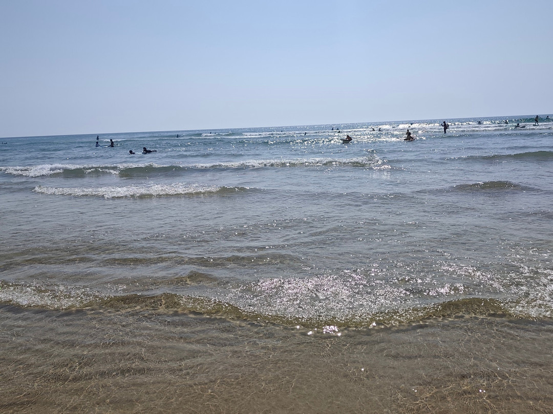 École Surf Skeepskool-Le Porge必去景点