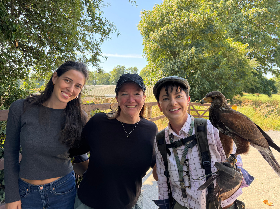 Hawkeye School of Falconry-基尔肯尼必去景点