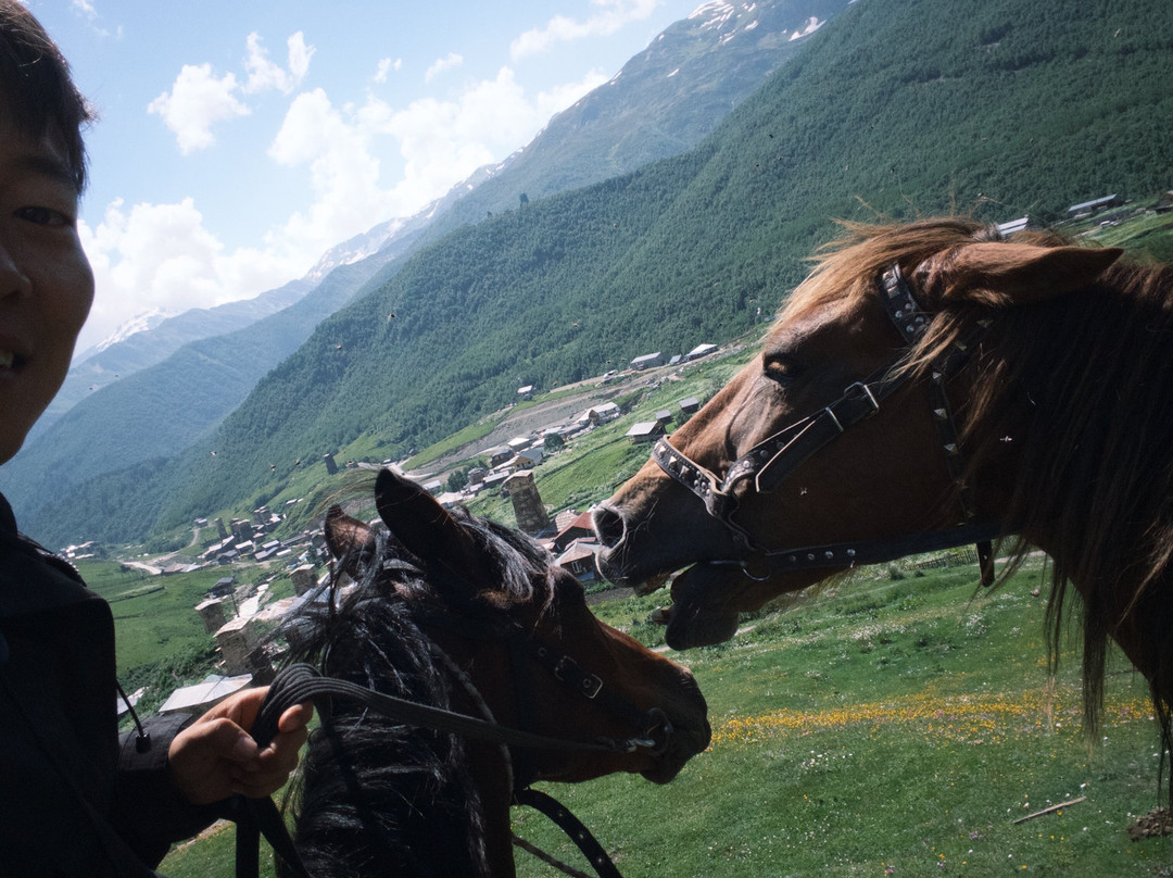 Horse rentals in Ushguli-Ushguli必去景点