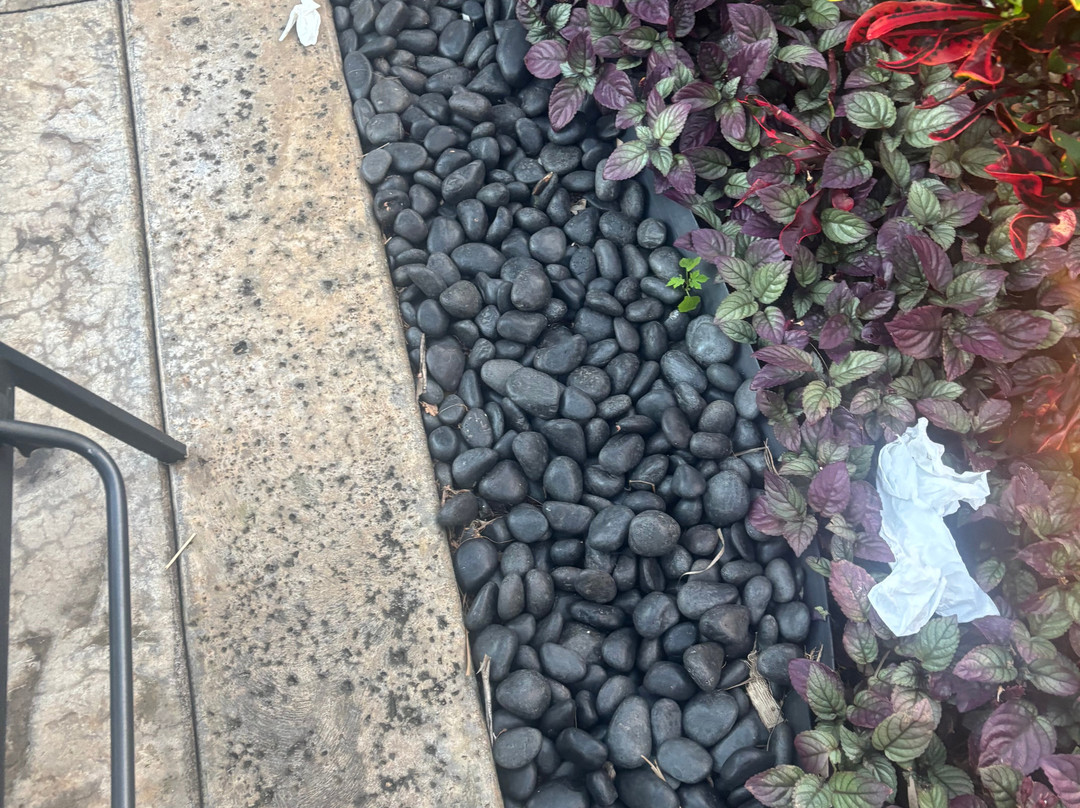 可爱岛可可纳特海滩喜来登度假酒店主图