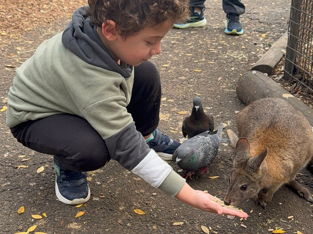 Featherdale Sydney Wildlife Park-Doonside必去景点