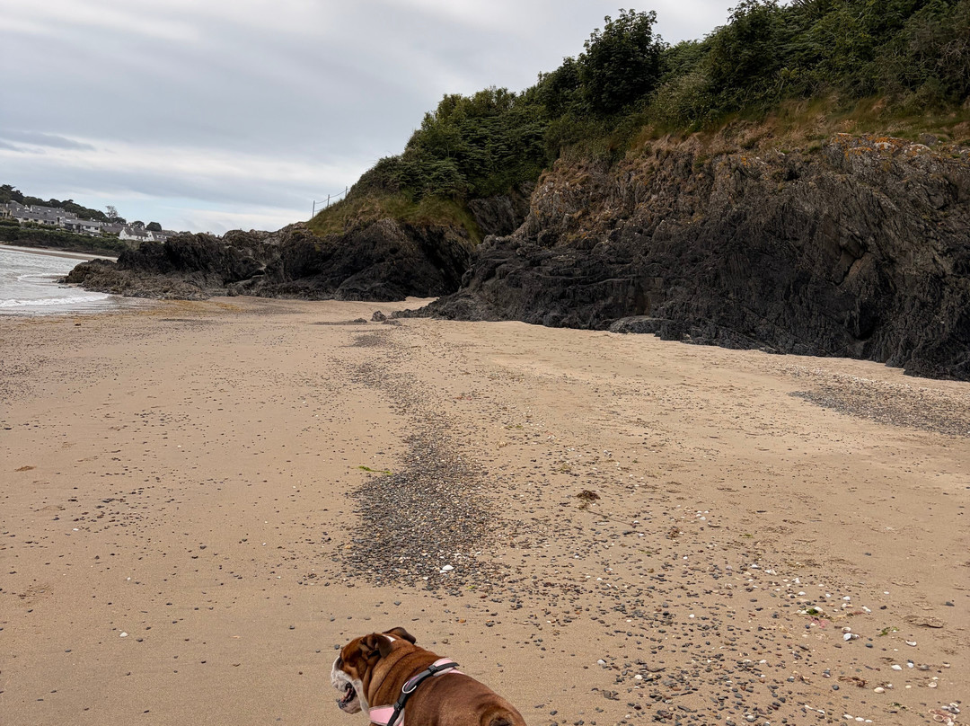 Abersoch Harbour Beach-Abersoch必去景点