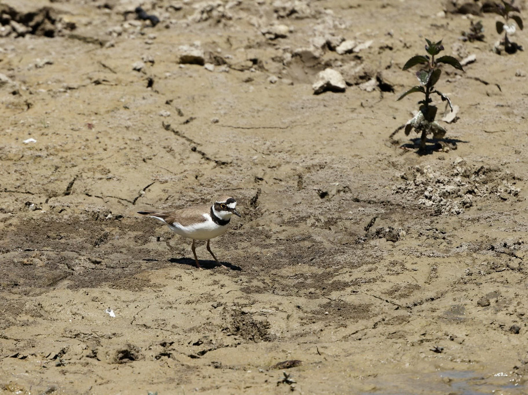 Domaine des Oiseaux-Mazeres必去景点