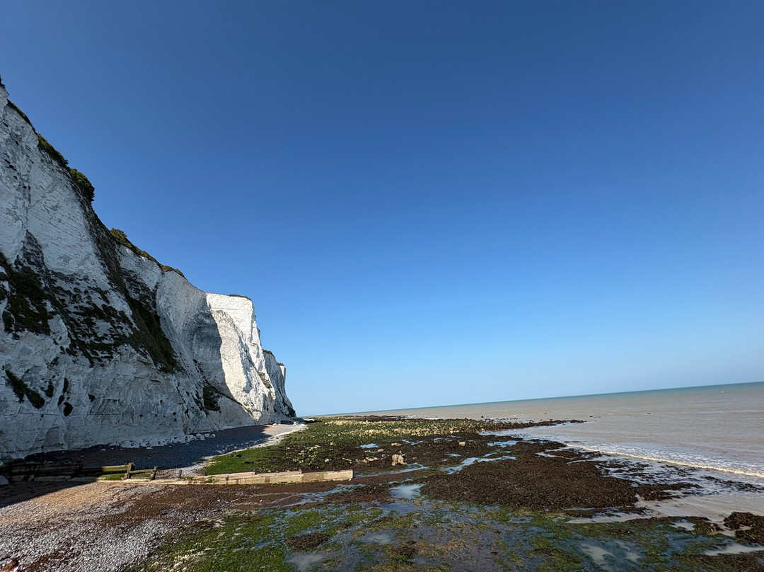 St Margaret's Beach-St Margaret's Bay必去景点