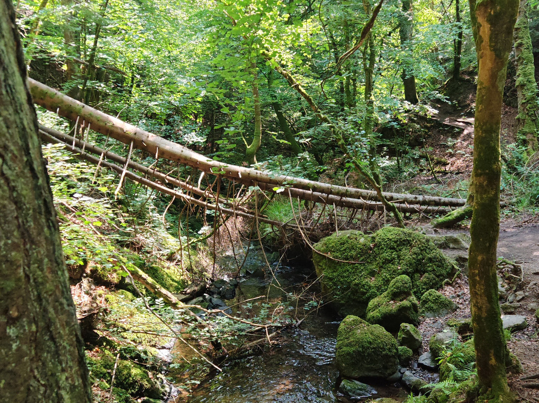Fairy Glen Falls-Rosemarkie必去景点