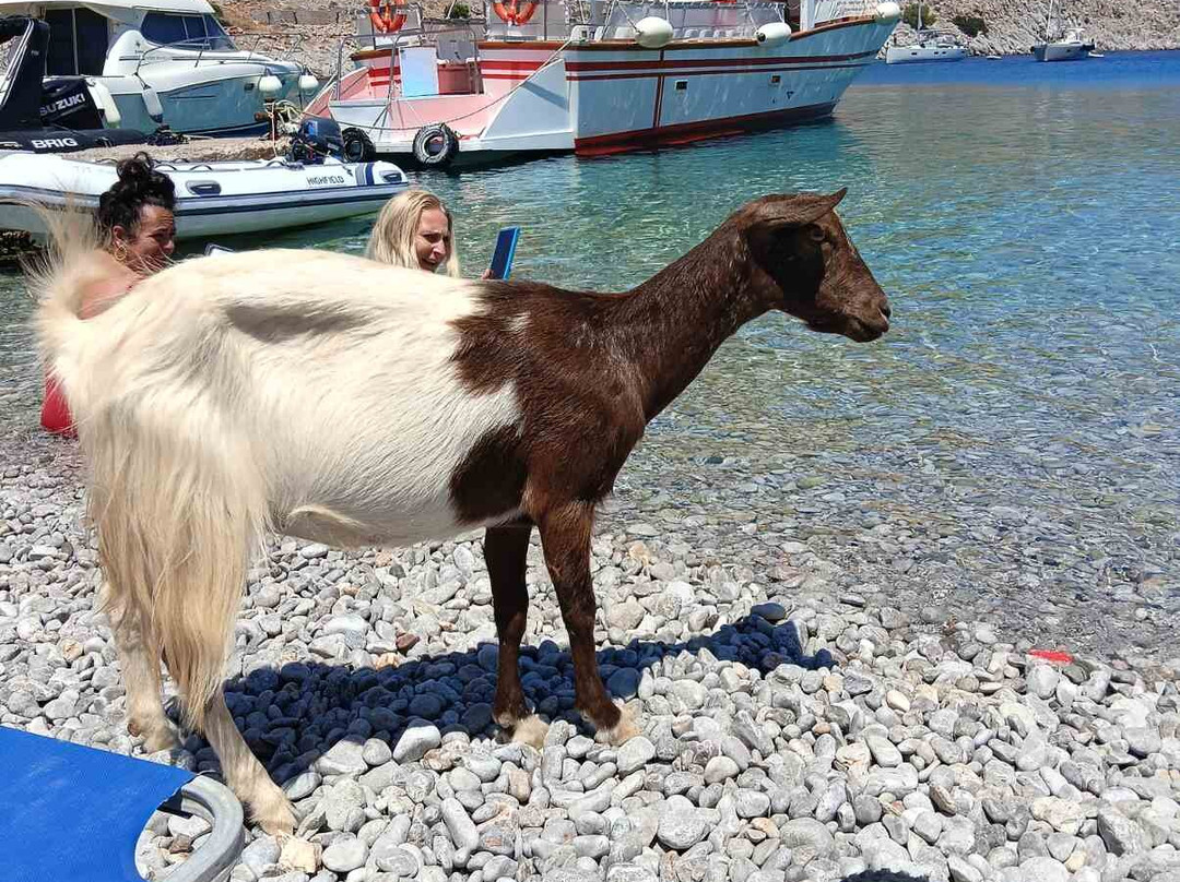 Tavérna Marathoúnta