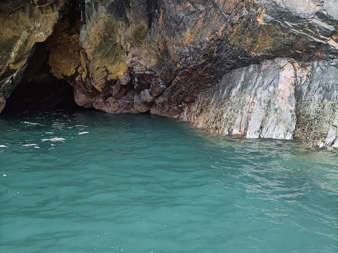 A Bay To Remember Wildlife Boat Trips-St. Dogmaels必去景点