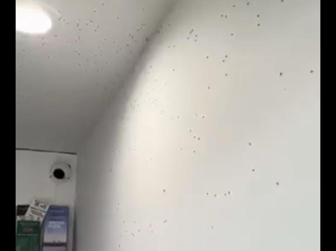 佩托斯基湾酒店主图