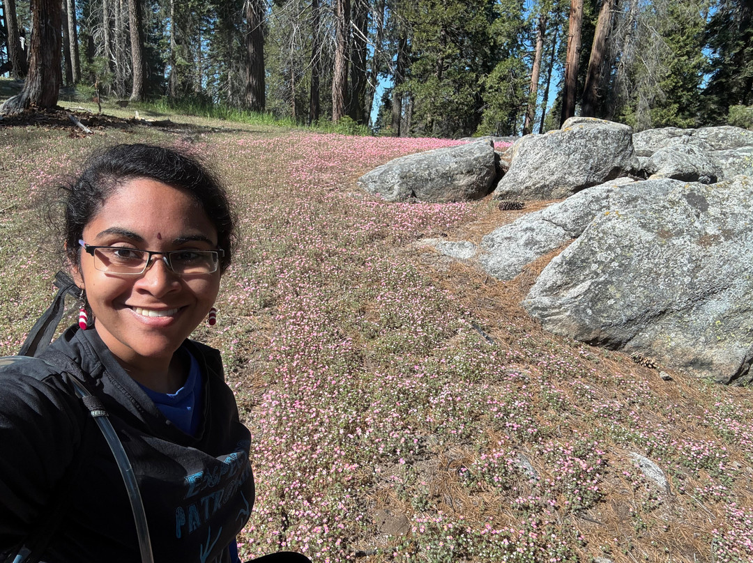 Beetle Rock In Sequoia National Park-Three Rivers必去景点
