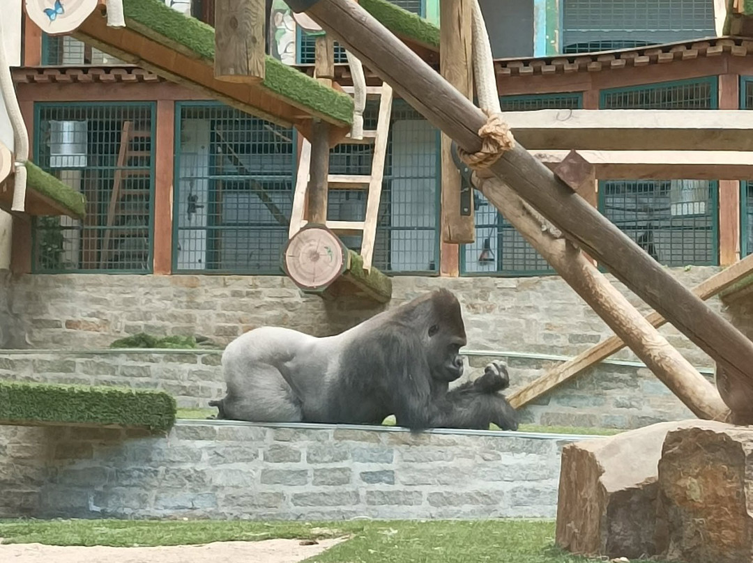 Espace Zoologique de Saint Martin la Plaine-Saint-Martin-la-Plaine必去景点