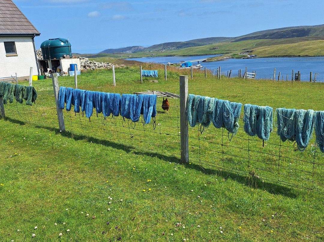 Shetland Wool Adventures-Lerwick必去景点