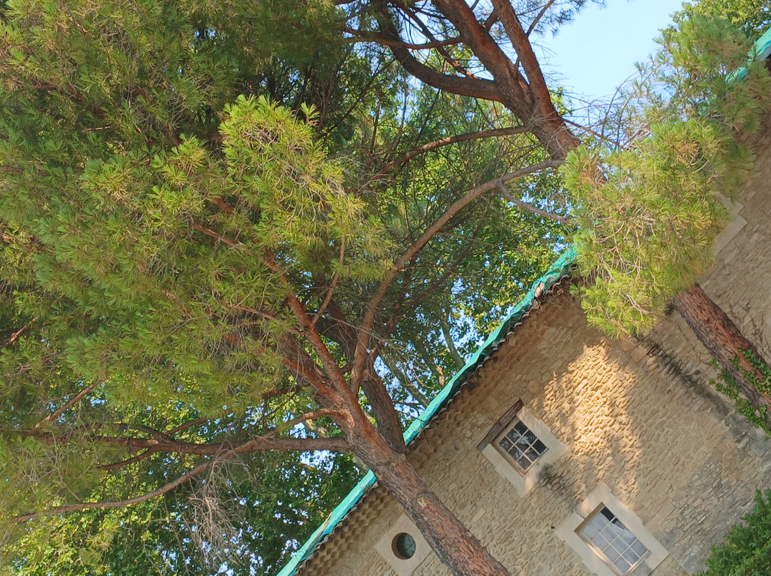 白磨坊区歌利亚公寓式酒店