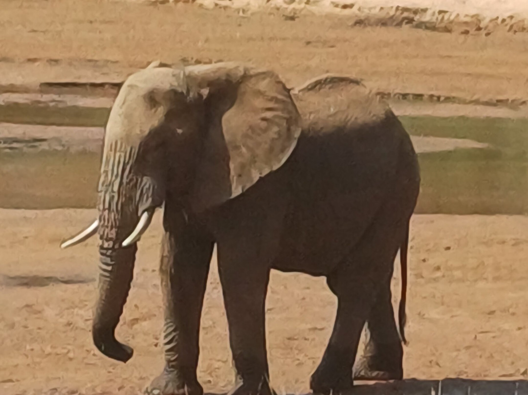 Samburu National Reserve-内罗毕必去景点