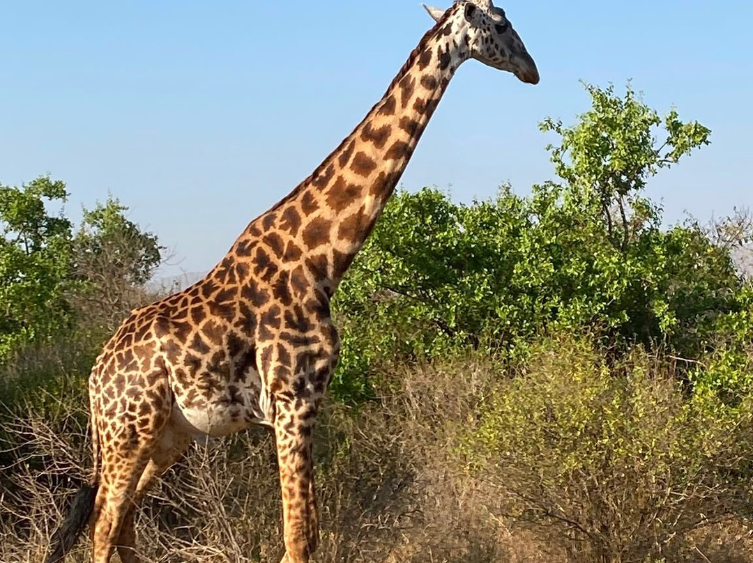 Sereland Africa Safaris-Sakina必去景点