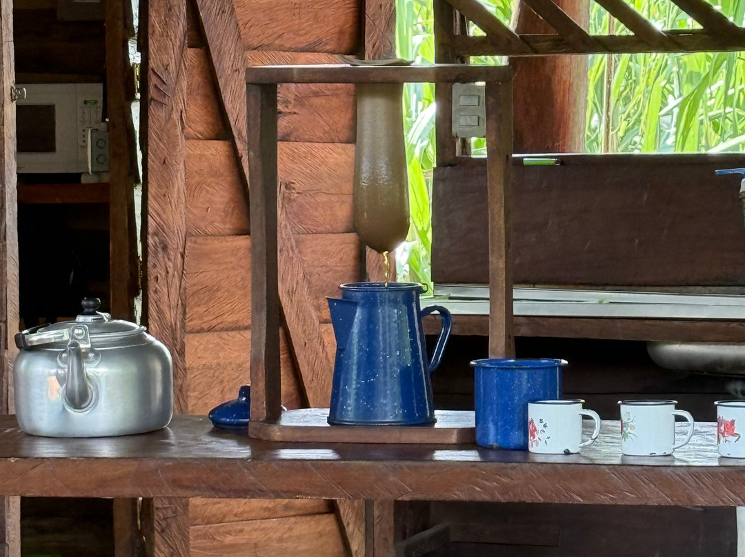 Cafe & Cacao Tour Bijagua-Bijagua de Upala必去景点