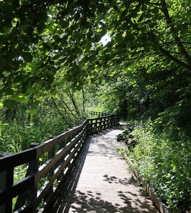 The Dingle (Nant y Pandy) Nature Reserve-Llangefni必去景点