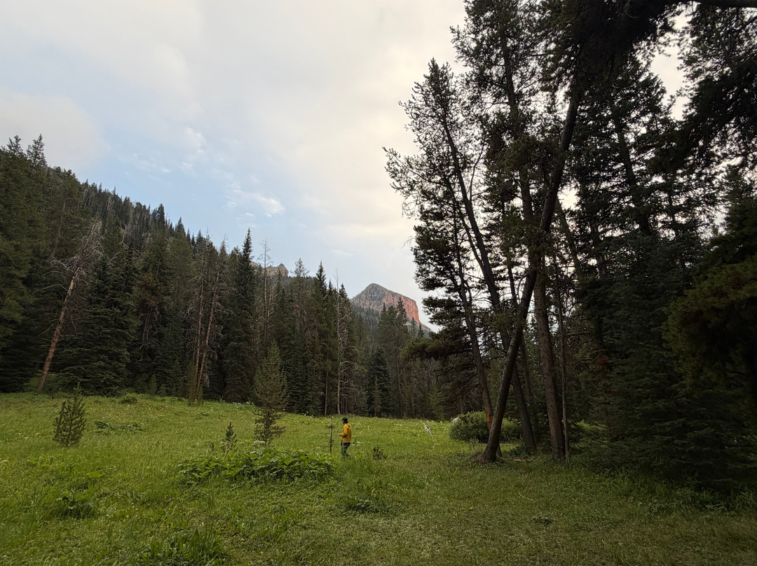 Yellowstone Hiking Guides-黄石国家公园必去景点