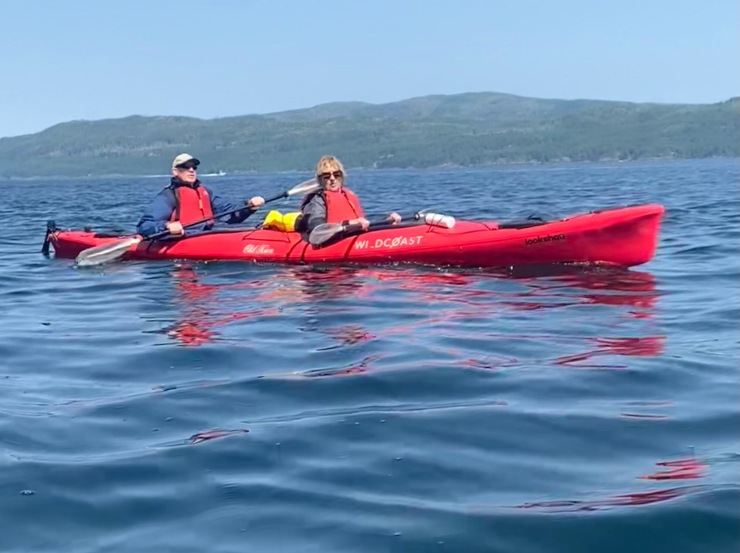 Wildcoast Adventures-Quathiaski Cove必去景点