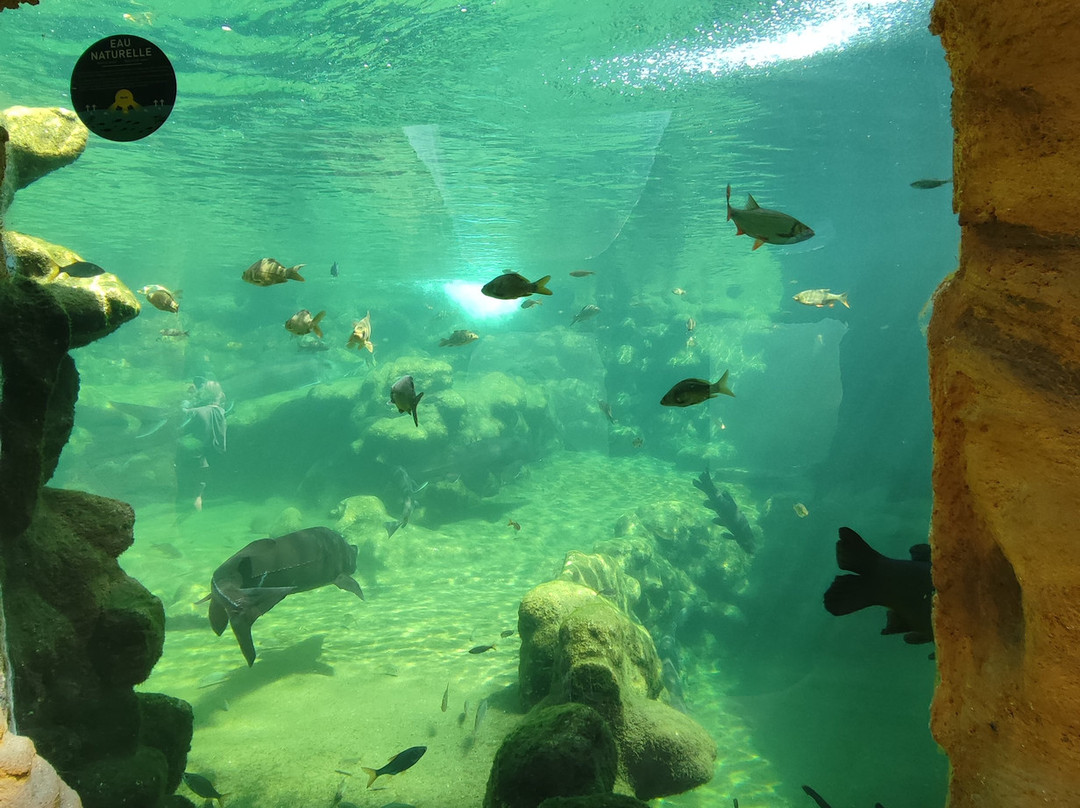 Aquarium du Perigord Noir-Le Bugue必去景点