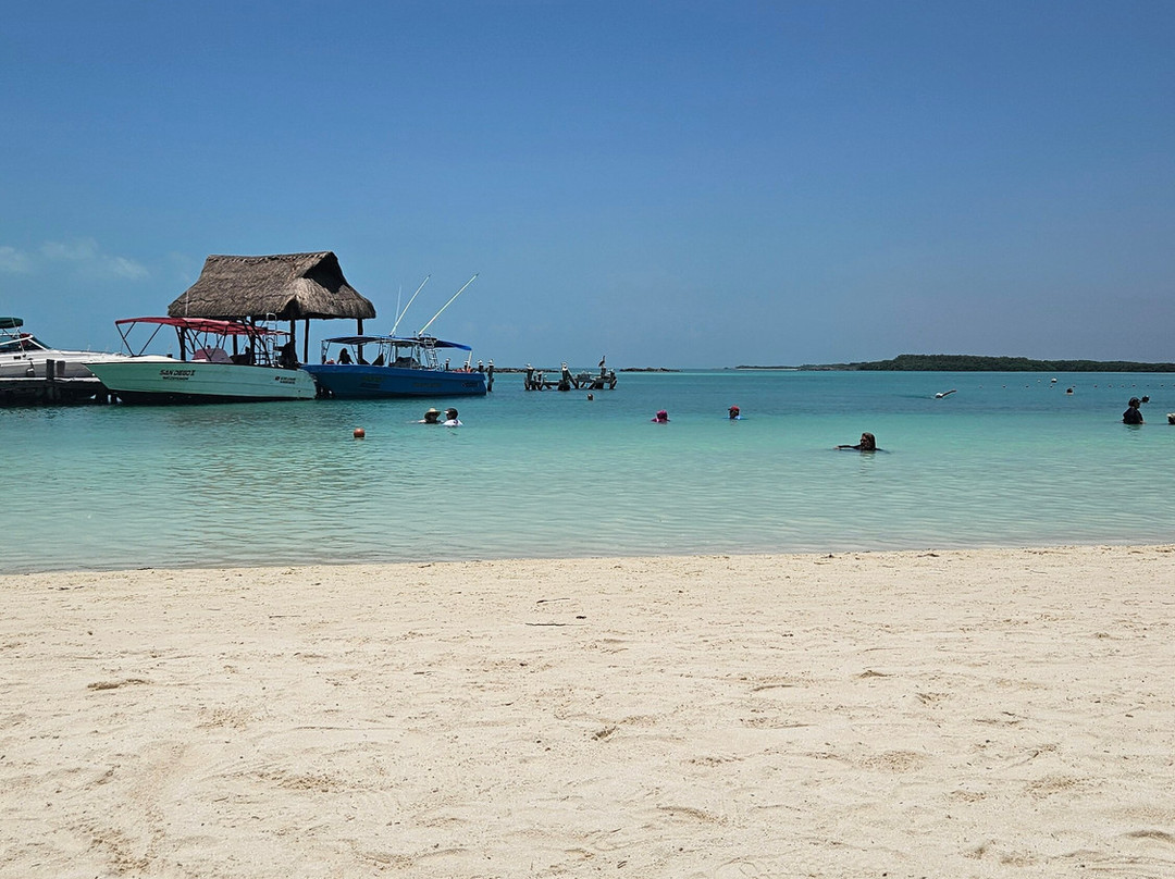 Isla Contoy National Park-Isla Contoy必去景点