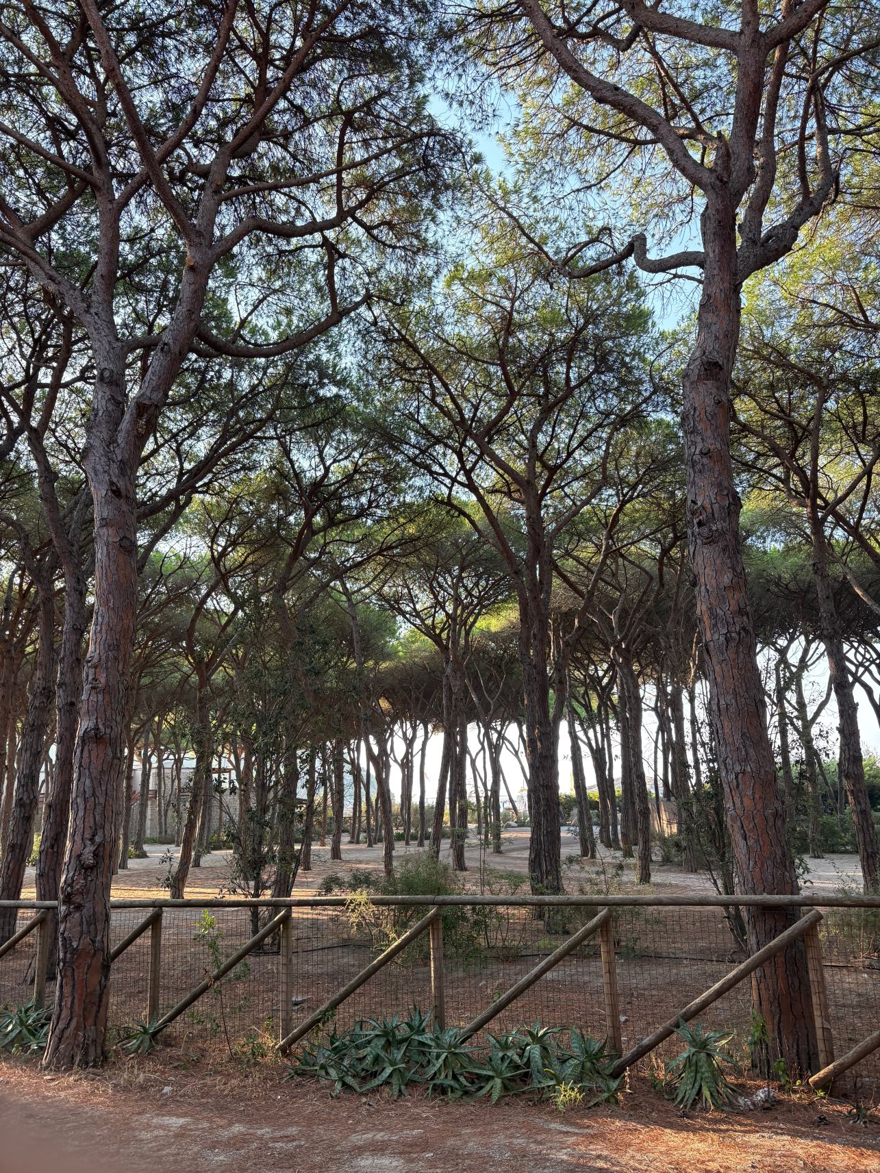 Hotel Villa Nettuno-旅行者