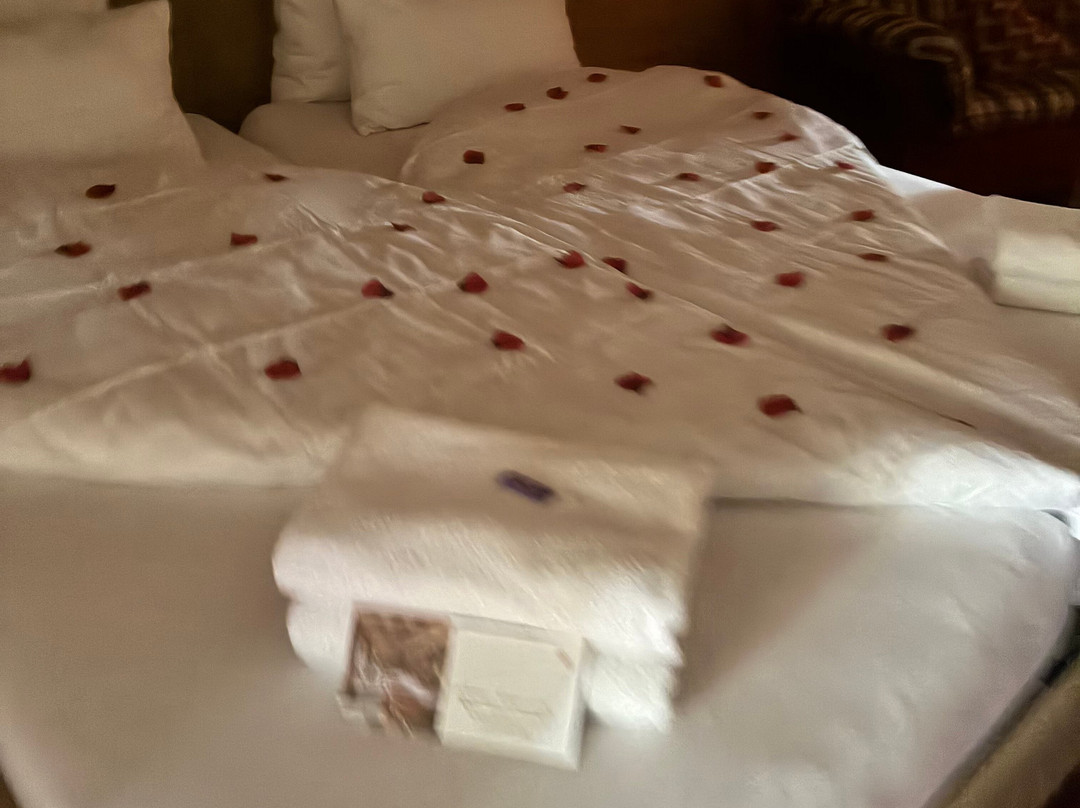 Elztalhotel主图